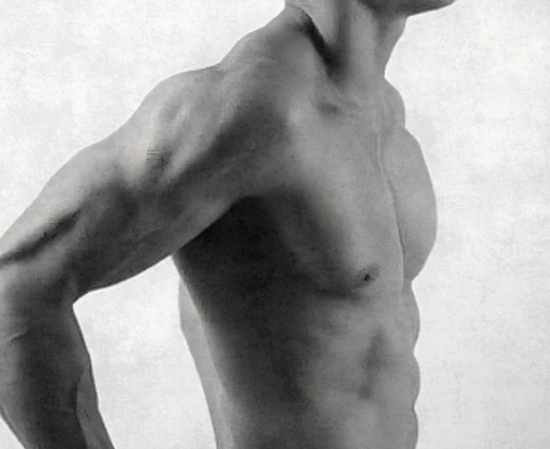 Hens knights entertainment male physique