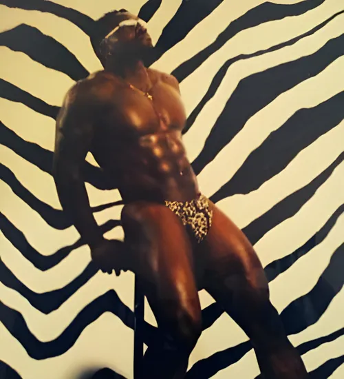 male-strippers-sydney-Washington