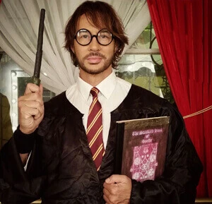 harry potter costume